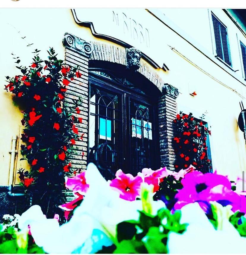 Dabibbo Guest House Cerveteri Zewnętrze zdjęcie